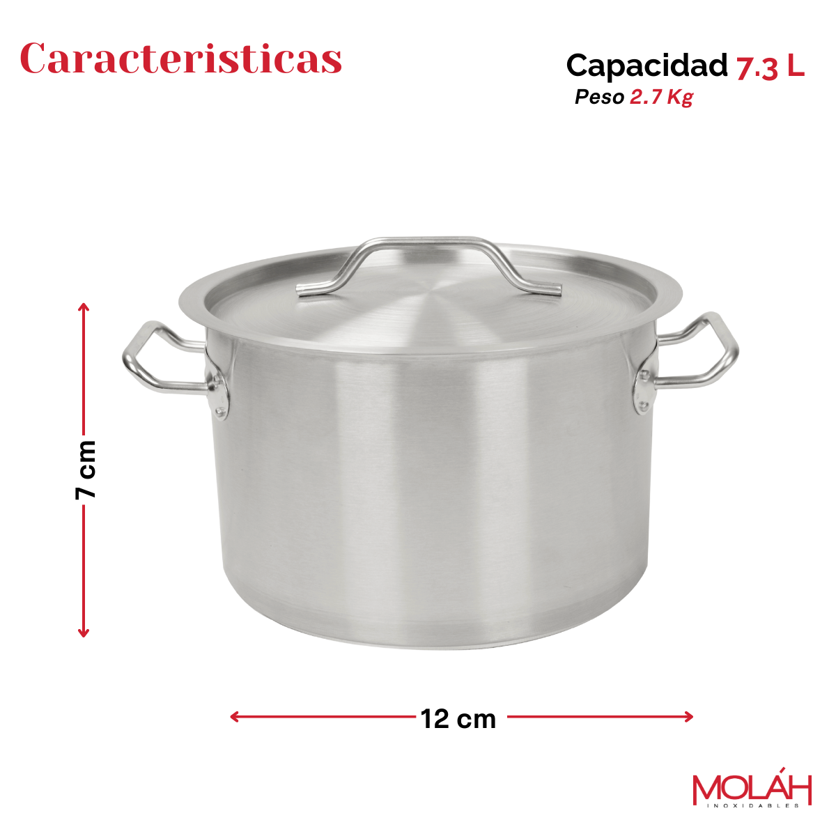 Arrocera Budinera 7.3 Lts. Acero Inoxidable Ø28cm x 12cm alto